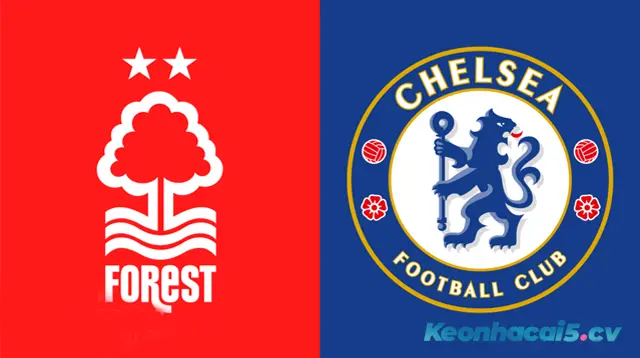 Soi kèo Nottingham Forest vs Chelsea, 18/10/2025 - Premier League
