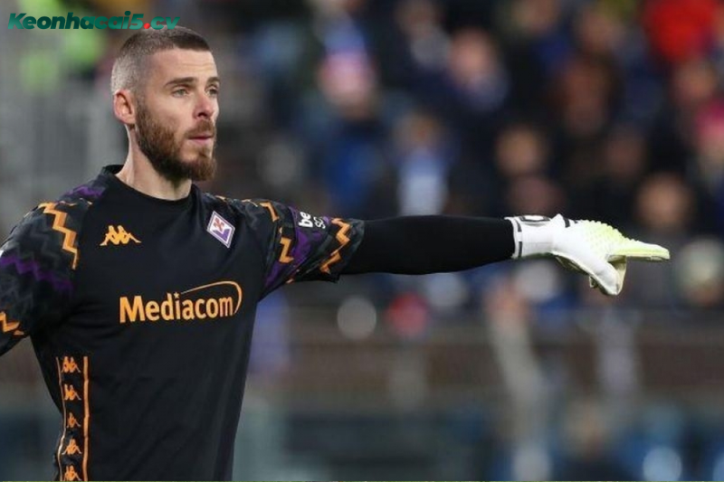 Đội hình dự kiến trước trận Fiorentina vs Udinese Đội hình dự kiến trước trận Fiorentina vs Udinese