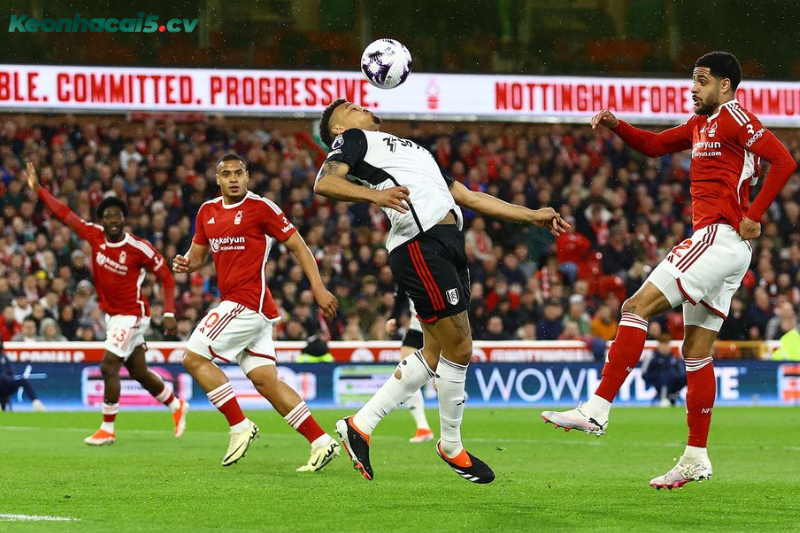 Đội hình dự kiến trước trận Fulham vs Nottingham