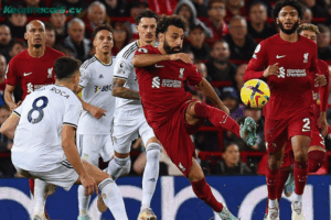 Đội hình dự kiến trước trận Leeds vs Liverpool