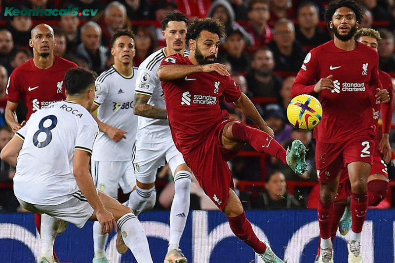 Đội hình dự kiến trước trận Leeds vs Liverpool Đội hình dự kiến trước trận Leeds vs Liverpool