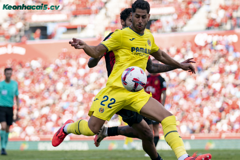 Đội hình dự kiến trước trận Levante vs Villarreal Đội hình dự kiến trước trận Levante vs Villarreal