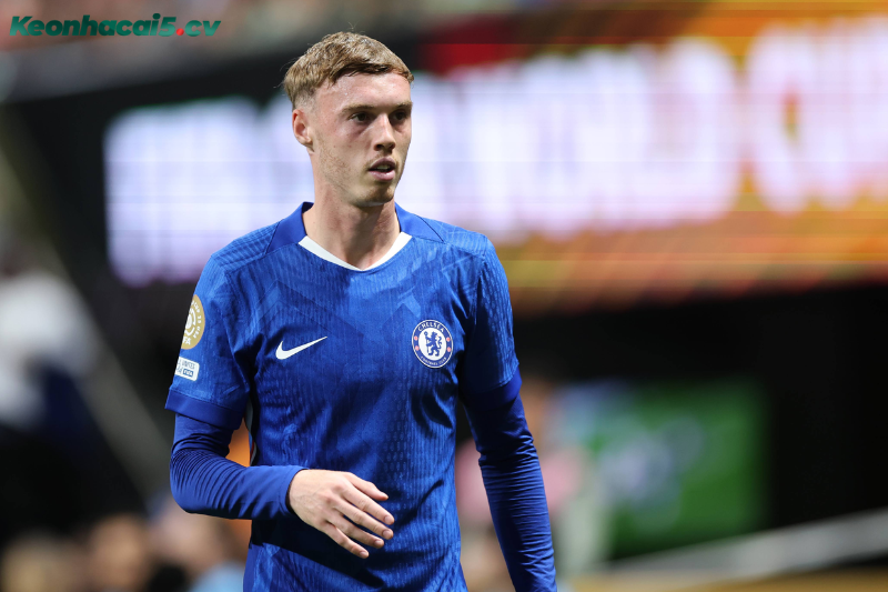 Đội hình dự kiến trước trận Newcastle vs Chelsea Đội hình dự kiến trước trận Newcastle vs Chelsea